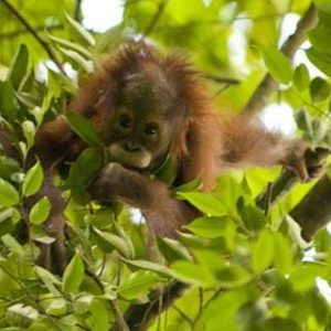 1234775_484616644967413_902001239_n