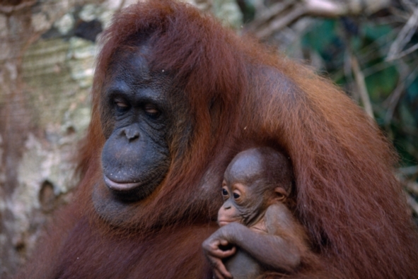 Photo Credit: Eye Ubiquitous/UIG via Getty Images