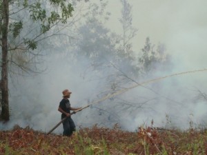 7 - Fire fighting - Bernat Ripoll