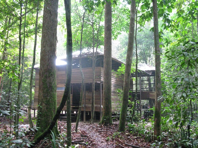 Cabang Panti 2 Marshall FTF(2)