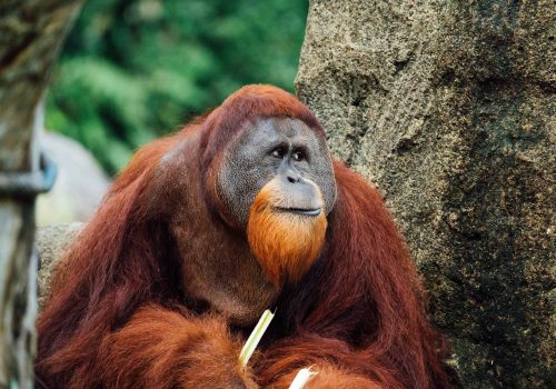 chuttersnap-_83fyG9rzx4-unsplash (1)