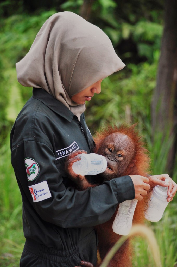 OC archive photo of Samboja Lestari rescue center