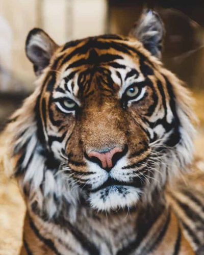 ian-robinson-DfKZs6DOrw4-unsplash-2-681x1024