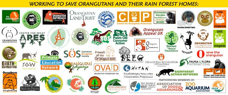 logos_jpg_opt760x319o00s760x319