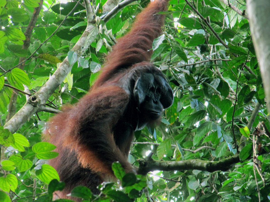 Morio from Anne 2016 - Copy