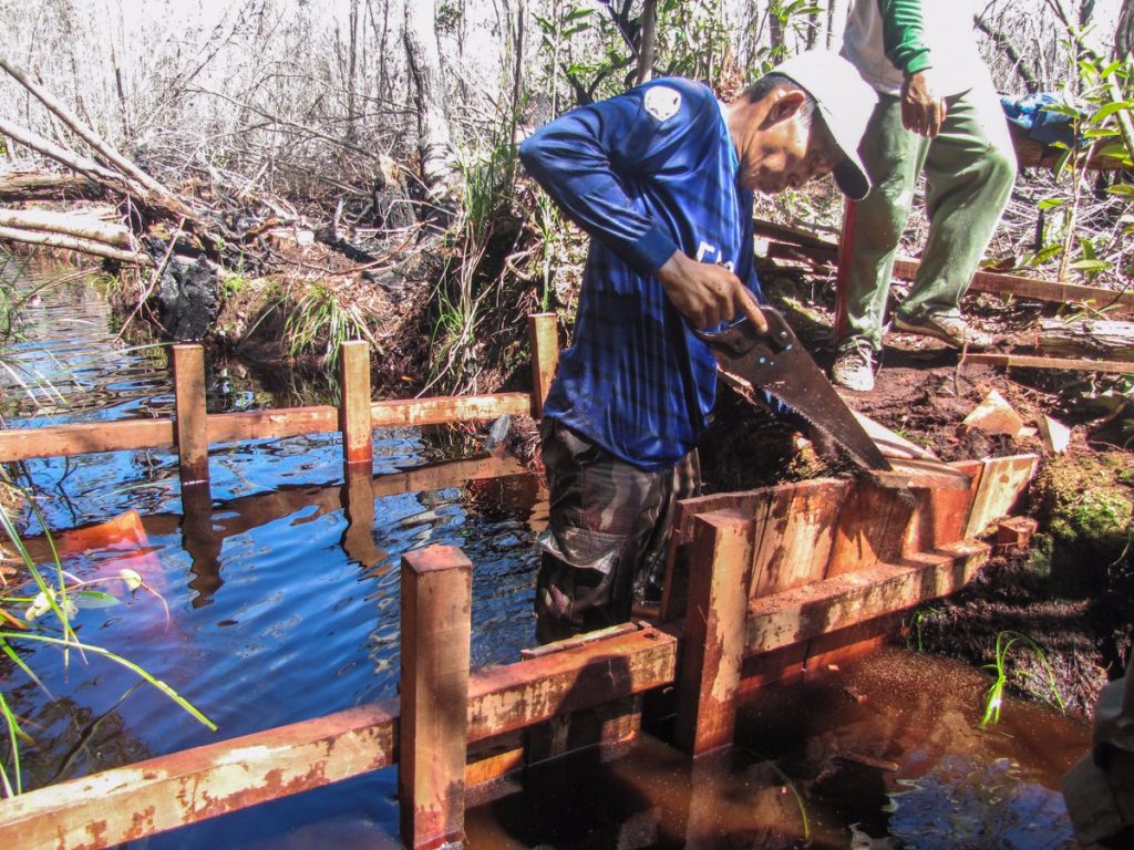members of the dam building team hard at work protecting Sabangau