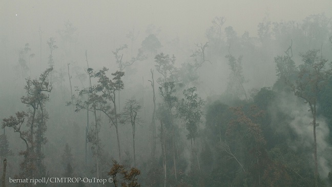 The firefighters face a wall of smoke from the flames nearby