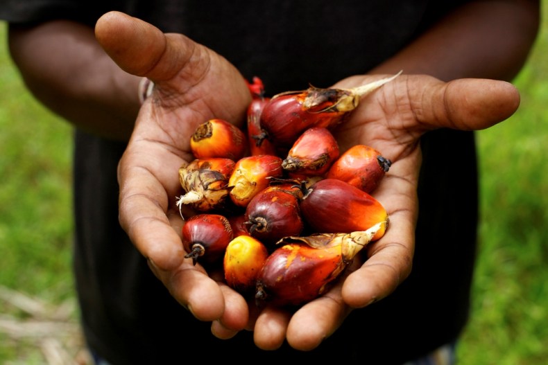 Palm Fruit Photo courtesy of: World Bank Photo Collection 
