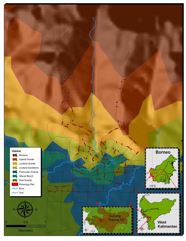 schematic map - Marshall FTF