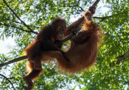 stuart-jansen-BIOvLzi9bMM-unsplash