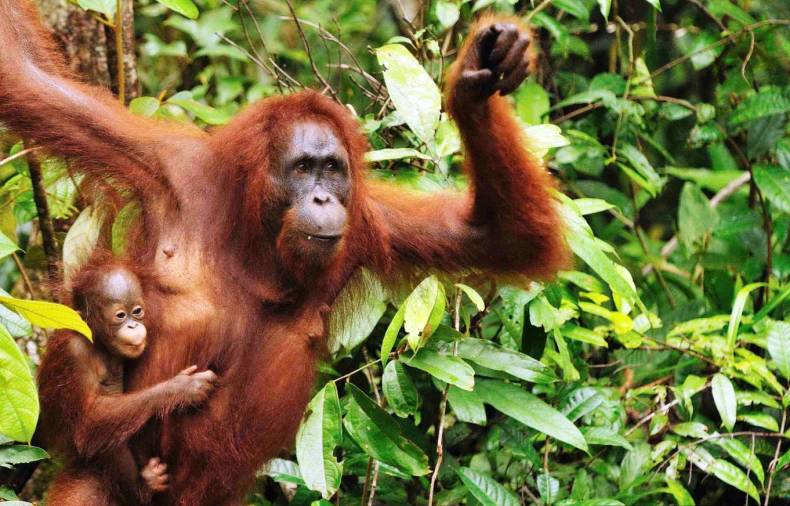 Photo Credit: Pixabay