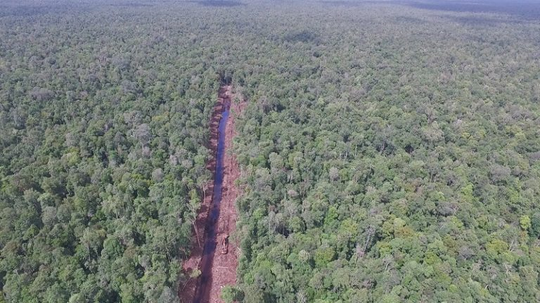 Photo courtesy of International Animal Rescue